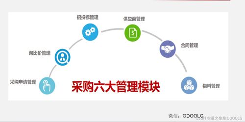 優(yōu)秀采購(gòu)管理的七大核心流程與模塊 一張圖掌握所有干貨（含高風(fēng)險(xiǎn)運(yùn)動(dòng)項(xiàng)目專(zhuān)項(xiàng)解析）